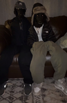 the koala gang!