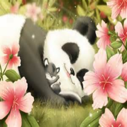 Kawaii Panda Decal 583874752 Roblox decal