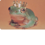 Life is frogs, frogs are life