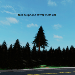 tree sellphone tower meet up