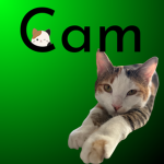 Cam production