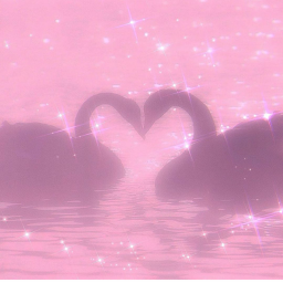 𝒹𝓇𝑒𝒶𝓂𝓈