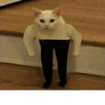 S w e e t t e a