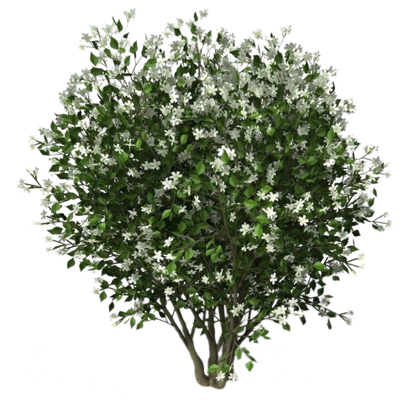 Square Two-Sided Decal