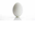 RexusDaEgg Fam