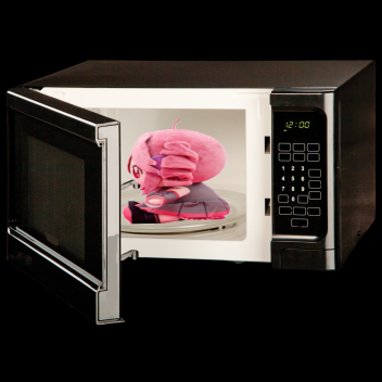 Microwave Teto