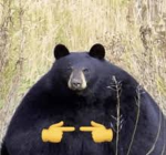 PIKACHU,EX Pokemon group