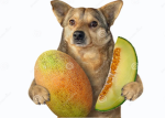Doge fruits