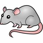The Rodent Squad