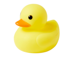 DUCK CREW (THE BEST CREW ;) )