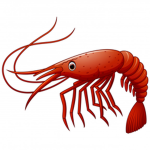 Smart Shrimp