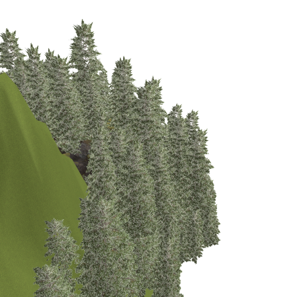 Background  PBR Forest