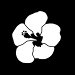 Flower Pot Interactive