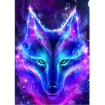 Midnight wolfs attacking