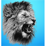 The Lions Den!