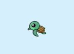 ~Turtle Team~