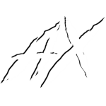 [Alpha X]