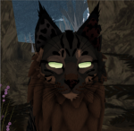 +{ Paws & Claws Staff }+