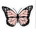 THE BADDIE BUTTERFLYZZ