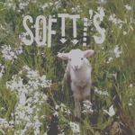 Softii's