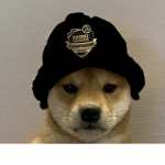 Dog wif