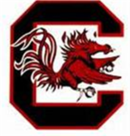 the gamecocks fan club