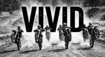 VIVD NATION