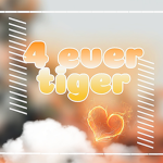 4 ever tiger