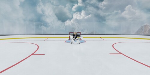 Hockey Game!