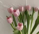 Aesthetic Friends :) be kind!