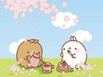 Molang=mimi