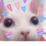 xJgsxn