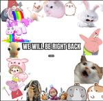 The funny random bunnies