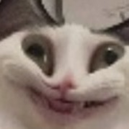 FREE ADMIN