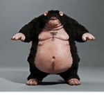 Fat Rats Village