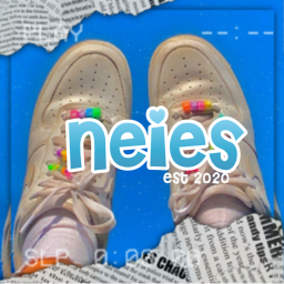 neies homestore