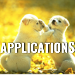 Dog Hotels Application Center!