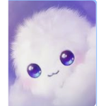 Dacooki_gang