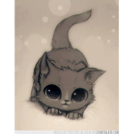 love love cats and dogs cute pets cute cute