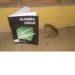 Enjoyers of Frogs