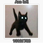Axo lotl