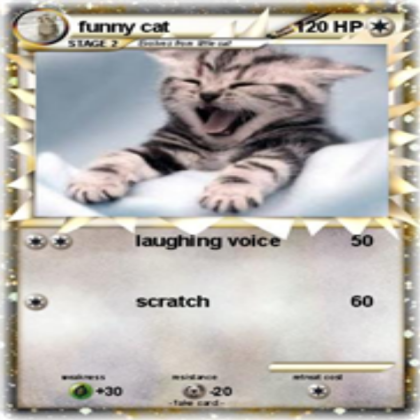 funny cat Roblox decal