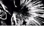 Ryuk gang
