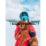 ~Scarley’s Apparel~