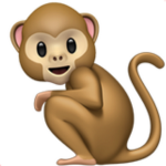Monkeys are awesome lol