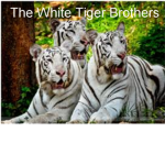 The White Tiger Brothers