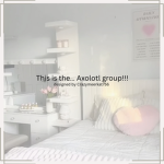 This is the… Axolotl group!!!