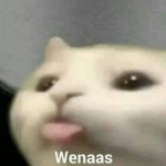 Me ca g en tuput mae