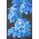 Delphinium and Peace