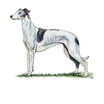 The GREYHOUND group!